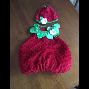 Strawberry costume Size 6-9 months NWOT